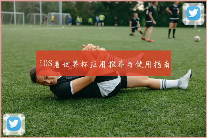 iOS看世界杯应用推荐与使用指南