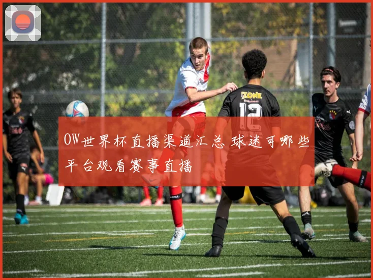 OW世界杯直播渠道汇总 球迷可哪些平台观看赛事直播