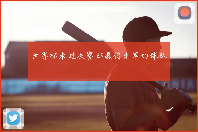 世界杯未进决赛却赢得季军的球队