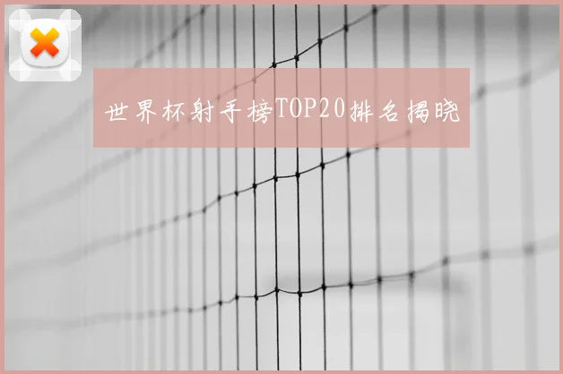 世界杯射手榜TOP20排名揭晓