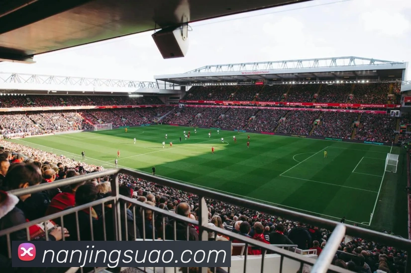 世界杯官网登录app平台生态图